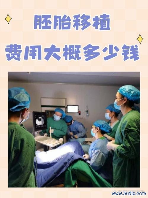 人工助孕技术详解试管婴儿与胚胎移植优势